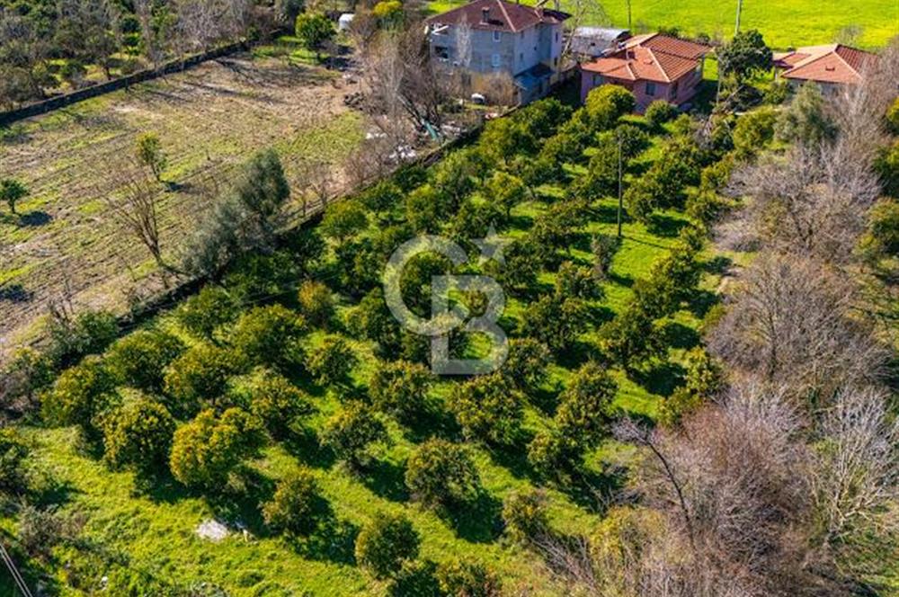 MUĞLA KÖYCEĞİZDE SATILIK TARLA VE MÜSTAKİL DAiRELER