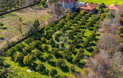 MUĞLA KÖYCEĞİZDE SATILIK TARLA VE MÜSTAKİL DAiRELER