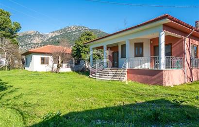 MUĞLA KÖYCEĞİZDE SATILIK TARLA VE MÜSTAKİL DAiRELER