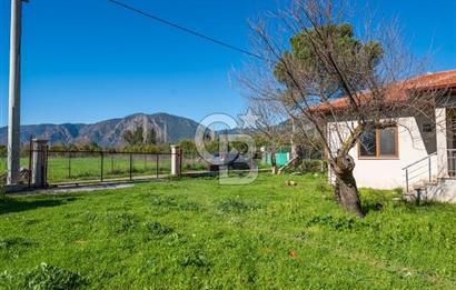 MUĞLA KÖYCEĞİZDE SATILIK TARLA VE MÜSTAKİL DAiRELER