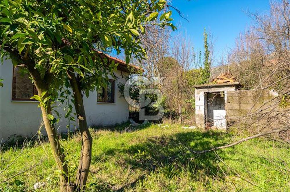 MUĞLA KÖYCEĞİZDE SATILIK TARLA VE MÜSTAKİL DAiRELER