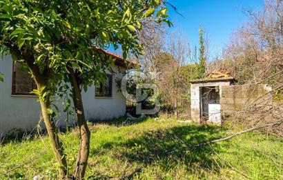 MUĞLA KÖYCEĞİZDE SATILIK TARLA VE MÜSTAKİL DAiRELER