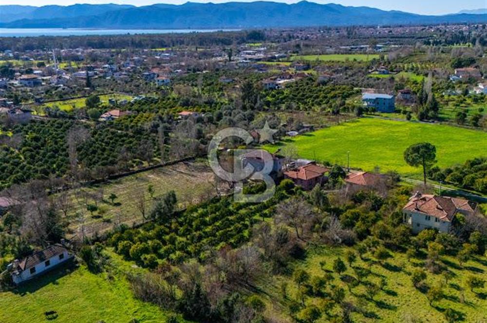 MUĞLA KÖYCEĞİZDE SATILIK TARLA VE MÜSTAKİL DAiRELER