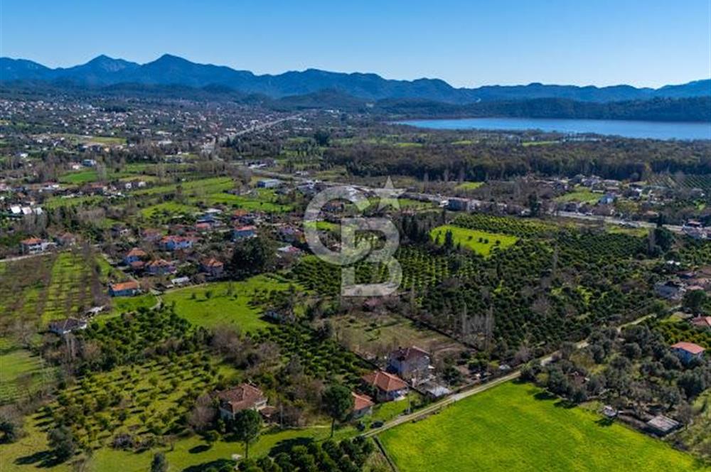 MUĞLA KÖYCEĞİZDE SATILIK TARLA VE MÜSTAKİL DAiRELER