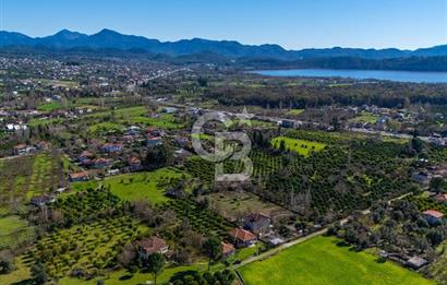 MUĞLA KÖYCEĞİZDE SATILIK TARLA VE MÜSTAKİL DAiRELER