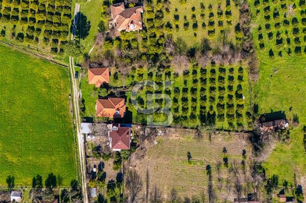 MUĞLA KÖYCEĞİZDE SATILIK TARLA VE MÜSTAKİL DAiRELER