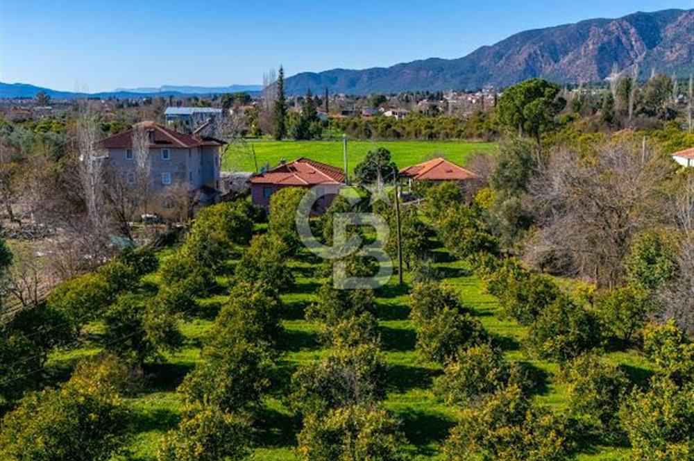MUĞLA KÖYCEĞİZDE SATILIK TARLA VE MÜSTAKİL DAiRELER