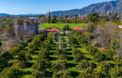 MUĞLA KÖYCEĞİZDE SATILIK TARLA VE MÜSTAKİL DAiRELER