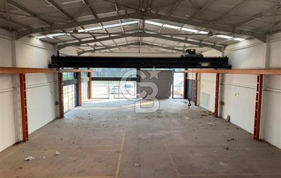 Ankara Yolu Cafer Sadık Abalıoğlu Cad. Üzeri Kiralık Ticari Alan