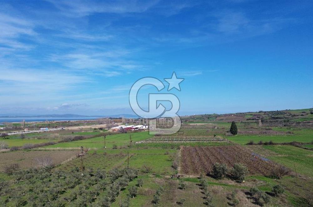 📍ÇARDAK’TA MERKEZİ KONUMDA ŞEFTALİ AĞAÇLI SATILIK TARLA 