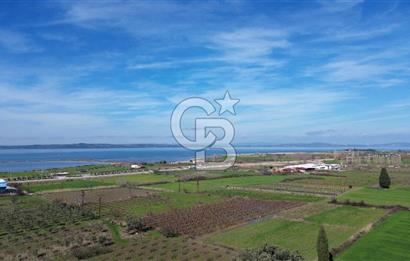 📍ÇARDAK’TA MERKEZİ KONUMDA ŞEFTALİ AĞAÇLI SATILIK TARLA 