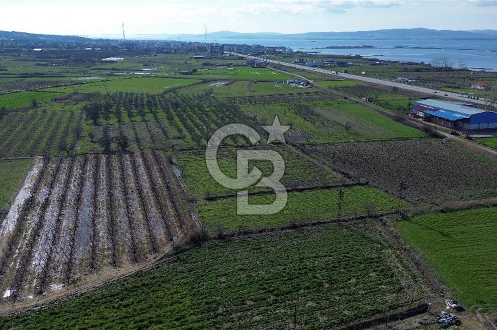 📍ÇARDAK’TA MERKEZİ KONUMDA ŞEFTALİ AĞAÇLI SATILIK TARLA 