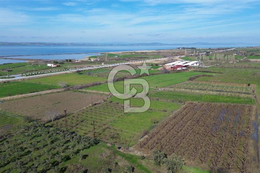 📍ÇARDAK’TA MERKEZİ KONUMDA ŞEFTALİ AĞAÇLI SATILIK TARLA 