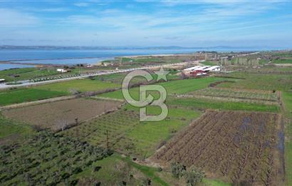 📍ÇARDAK’TA MERKEZİ KONUMDA ŞEFTALİ AĞAÇLI SATILIK TARLA 