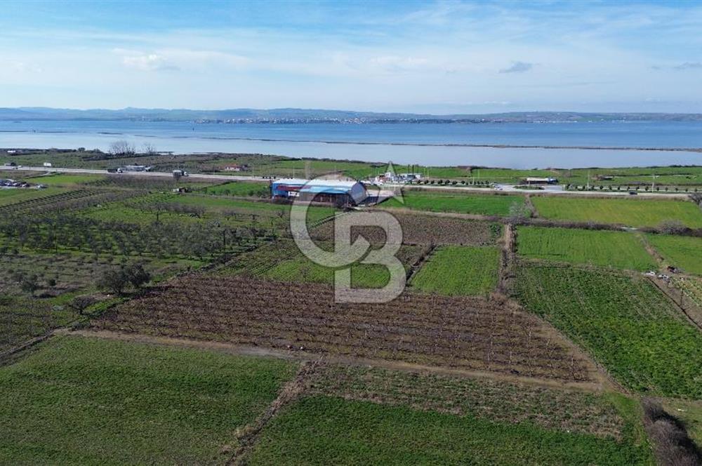 📍ÇARDAK’TA MERKEZİ KONUMDA ŞEFTALİ AĞAÇLI SATILIK TARLA 