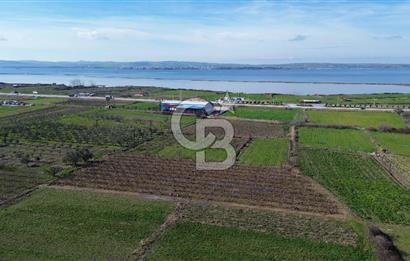 📍ÇARDAK’TA MERKEZİ KONUMDA ŞEFTALİ AĞAÇLI SATILIK TARLA 