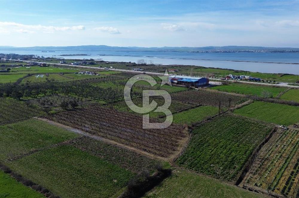 📍ÇARDAK’TA MERKEZİ KONUMDA ŞEFTALİ AĞAÇLI SATILIK TARLA 