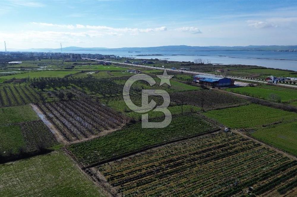 📍ÇARDAK’TA MERKEZİ KONUMDA ŞEFTALİ AĞAÇLI SATILIK TARLA 