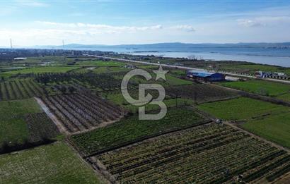 📍ÇARDAK’TA MERKEZİ KONUMDA ŞEFTALİ AĞAÇLI SATILIK TARLA 