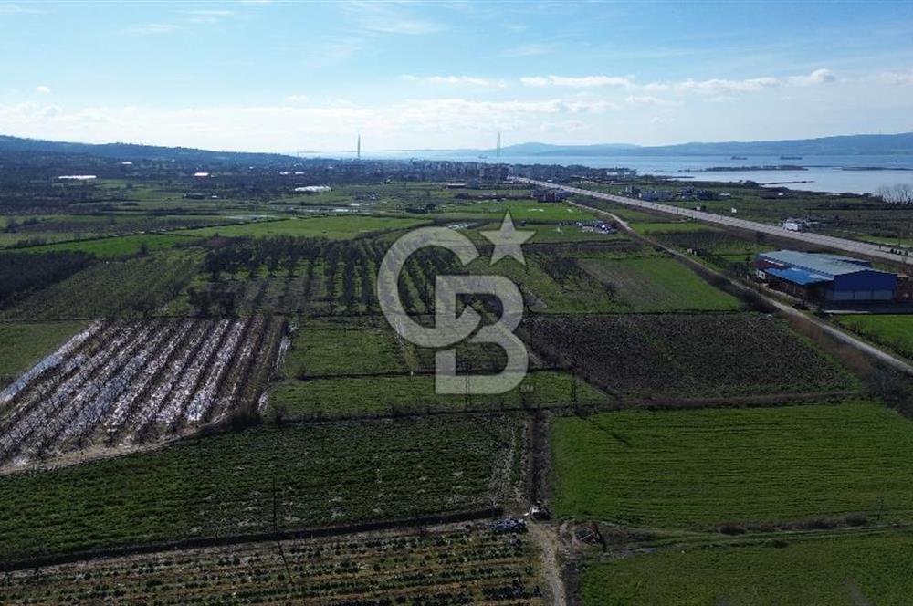 📍ÇARDAK’TA MERKEZİ KONUMDA ŞEFTALİ AĞAÇLI SATILIK TARLA 