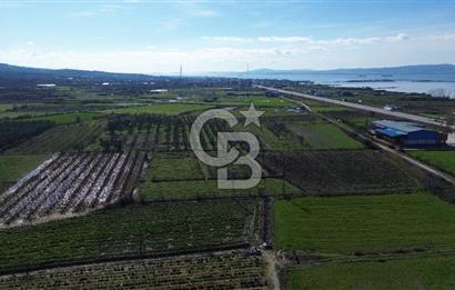 📍ÇARDAK’TA MERKEZİ KONUMDA ŞEFTALİ AĞAÇLI SATILIK TARLA 