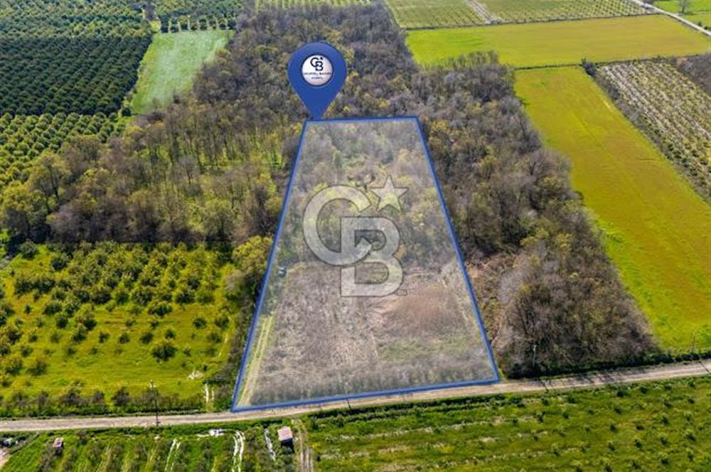 DOĞANIN ORTASINDA HUZURLU VE SESSİZ YAŞAM