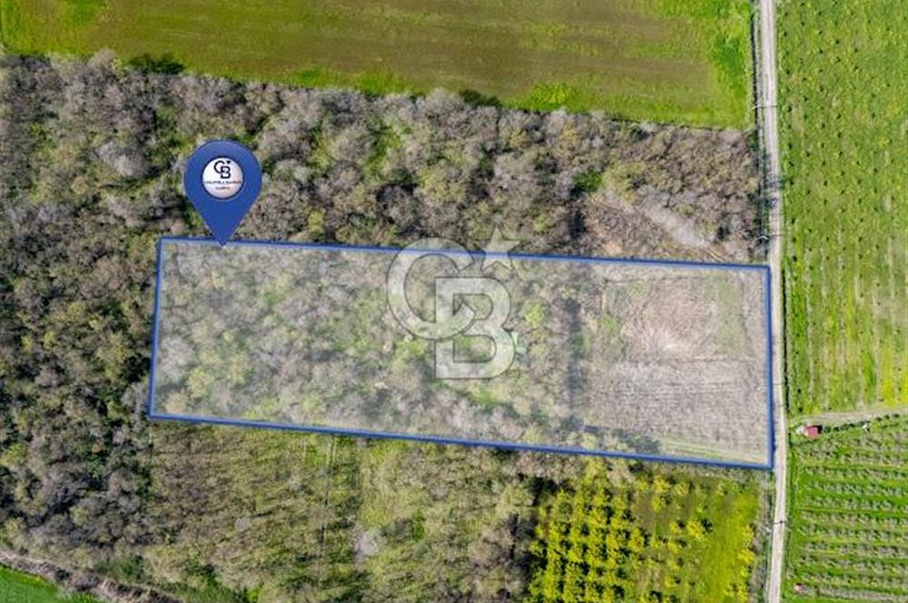 DOĞANIN ORTASINDA HUZURLU VE SESSİZ YAŞAM