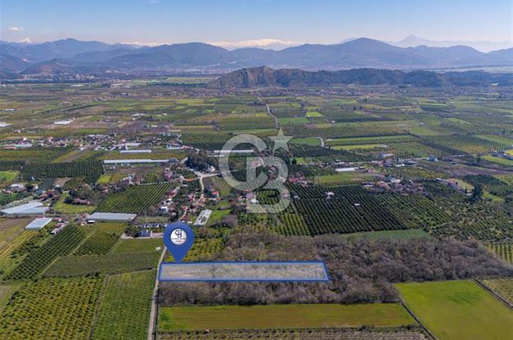 DOĞANIN ORTASINDA HUZURLU VE SESSİZ YAŞAM