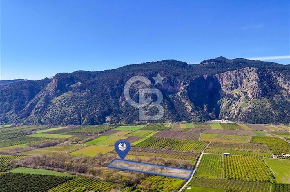 DOĞANIN ORTASINDA HUZURLU VE SESSİZ YAŞAM