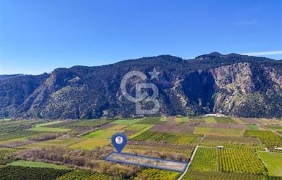 DOĞANIN ORTASINDA HUZURLU VE SESSİZ YAŞAM