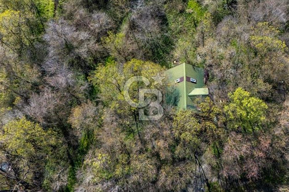 DOĞANIN ORTASINDA HUZURLU VE SESSİZ YAŞAM