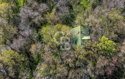 DOĞANIN ORTASINDA HUZURLU VE SESSİZ YAŞAM