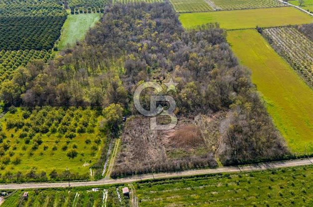 DOĞANIN ORTASINDA HUZURLU VE SESSİZ YAŞAM