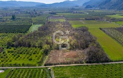 DOĞANIN ORTASINDA HUZURLU VE SESSİZ YAŞAM