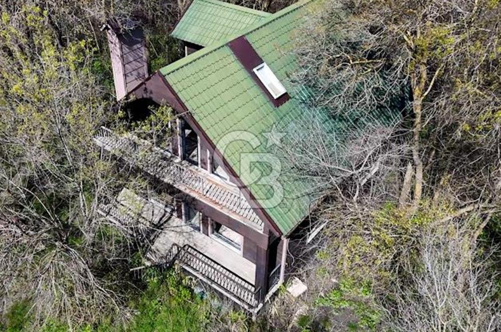 DOĞANIN ORTASINDA HUZURLU VE SESSİZ YAŞAM