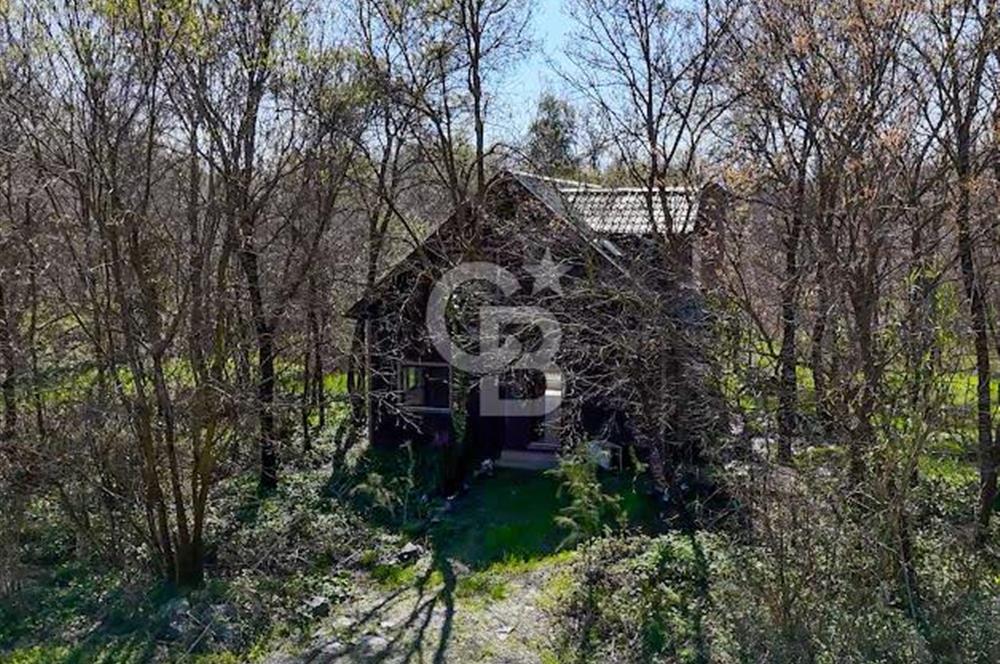 DOĞANIN ORTASINDA HUZURLU VE SESSİZ YAŞAM