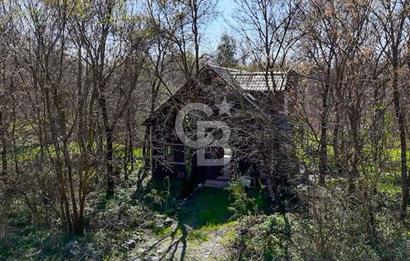 DOĞANIN ORTASINDA HUZURLU VE SESSİZ YAŞAM