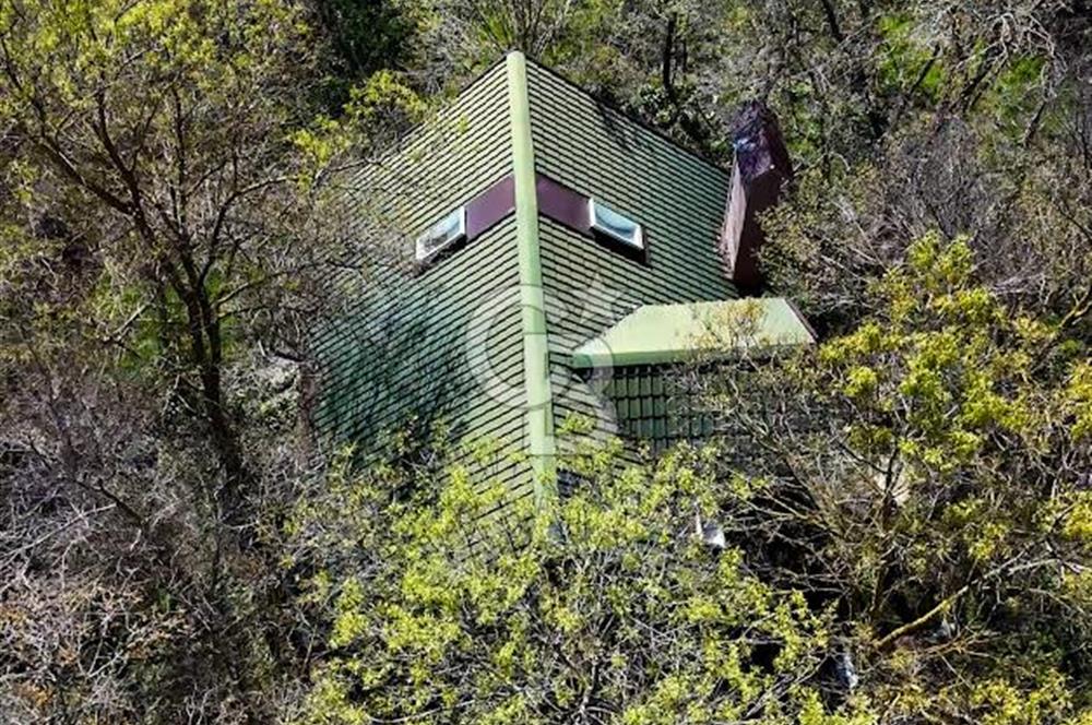 DOĞANIN ORTASINDA HUZURLU VE SESSİZ YAŞAM