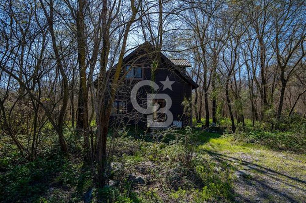 DOĞANIN ORTASINDA HUZURLU VE SESSİZ YAŞAM