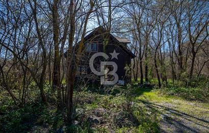 DOĞANIN ORTASINDA HUZURLU VE SESSİZ YAŞAM