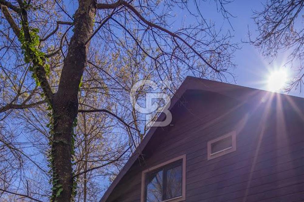 DOĞANIN ORTASINDA HUZURLU VE SESSİZ YAŞAM