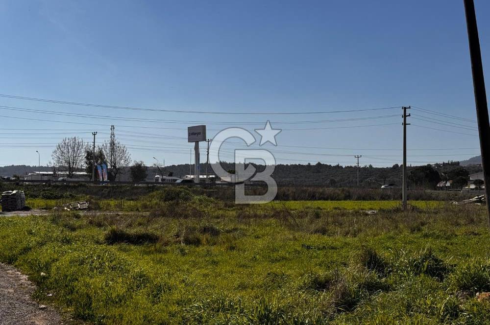 URLA TORASAN'da MÜSTAKİL YAŞAMA UYGUN 15/30 İMARLI SATILIK ARSA