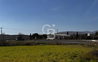 URLA TORASAN'da MÜSTAKİL YAŞAMA UYGUN 15/30 İMARLI SATILIK ARSA