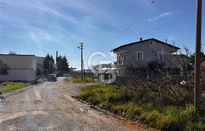 URLA TORASAN'da MÜSTAKİL YAŞAMA UYGUN 15/30 İMARLI SATILIK ARSA