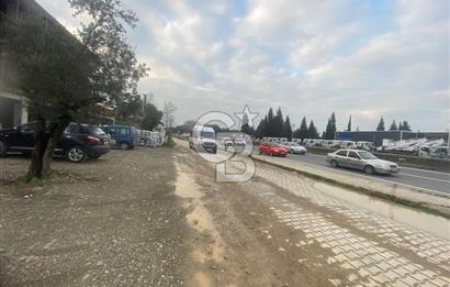 YALOVA ALTINOVA KAYTAZDERE MÜKEMMEL LOKASYON 40 M2 OFİS-İŞYERİ