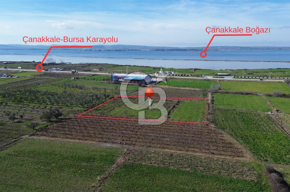 📍ÇARDAK’TA MERKEZİ KONUMDA ŞEFTALİ AĞAÇLI SATILIK TARLA 