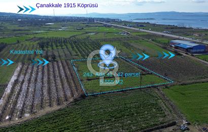 📍ÇARDAK’TA MERKEZİ KONUMDA ŞEFTALİ AĞAÇLI SATILIK TARLA 