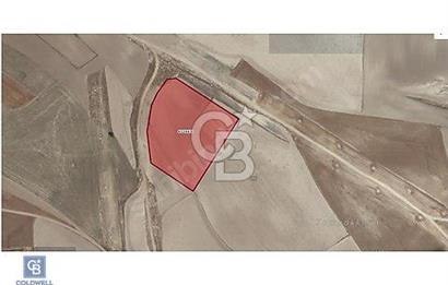 YENİMAHALLE SUSUZ İMAR BÖLGESİNDE 818 m² İMARLI YATIRIMLIK