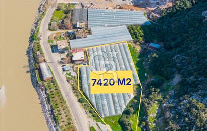 ANTALYA DEMRE KÖŞKERLERDE CB ARDENDEN 7420 M2 SATILIK TARLA