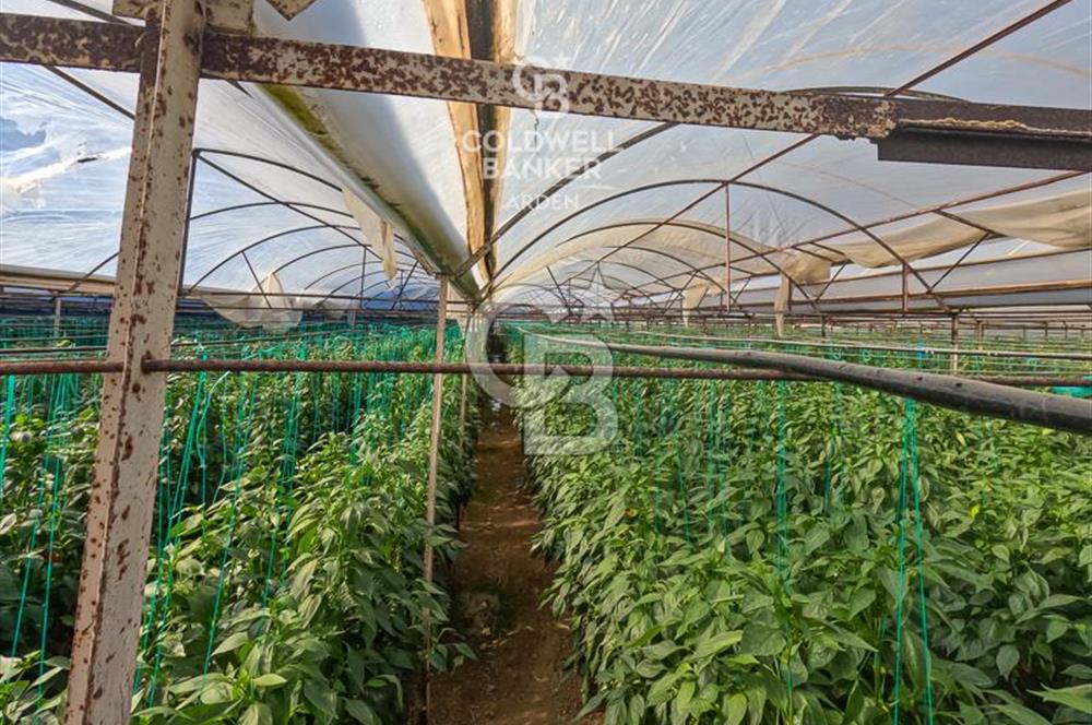 ANTALYA DEMRE KÖŞKERLERDE CB ARDENDEN 7420 M2 SATILIK TARLA